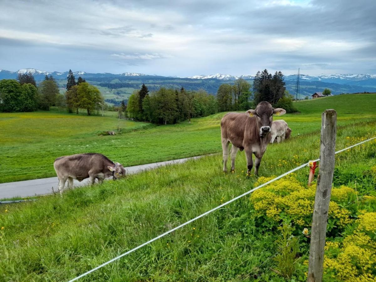 Pickenhan * Scheidegg