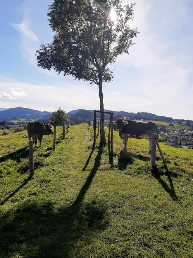 Appartement Pickenhan Scheidegg